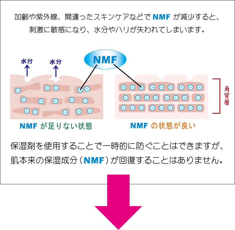 VRێqi`i`ECX`ACWOEt@N^[iNatural Moisturizing Factorj